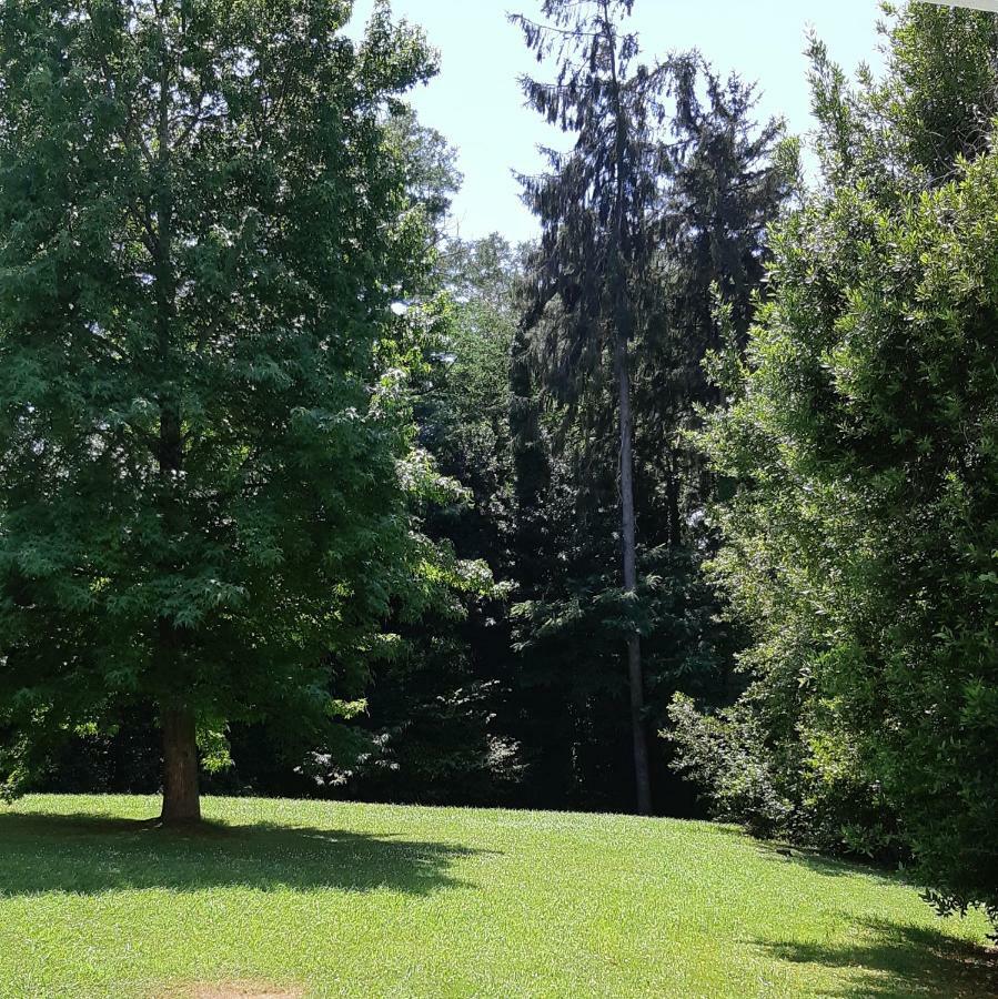 Appartement Au Calme Proximite Centre Bajonna Zewnętrze zdjęcie